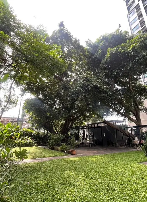 Photo 1 of listing DA-1891331: 1-bedroom condo (40 sq.m.) at The Seed Mingle Sathorn-Suanplu