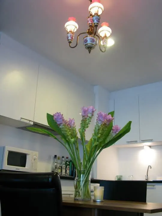 Foto 5 des Inserats DA-2396491: 1-Zimmer-Wohnung (35.21 m²) im D 65 Condominium