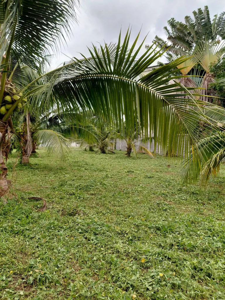 Photo 2 of listing DA-3195588: plot of land (1296 sq.m.)