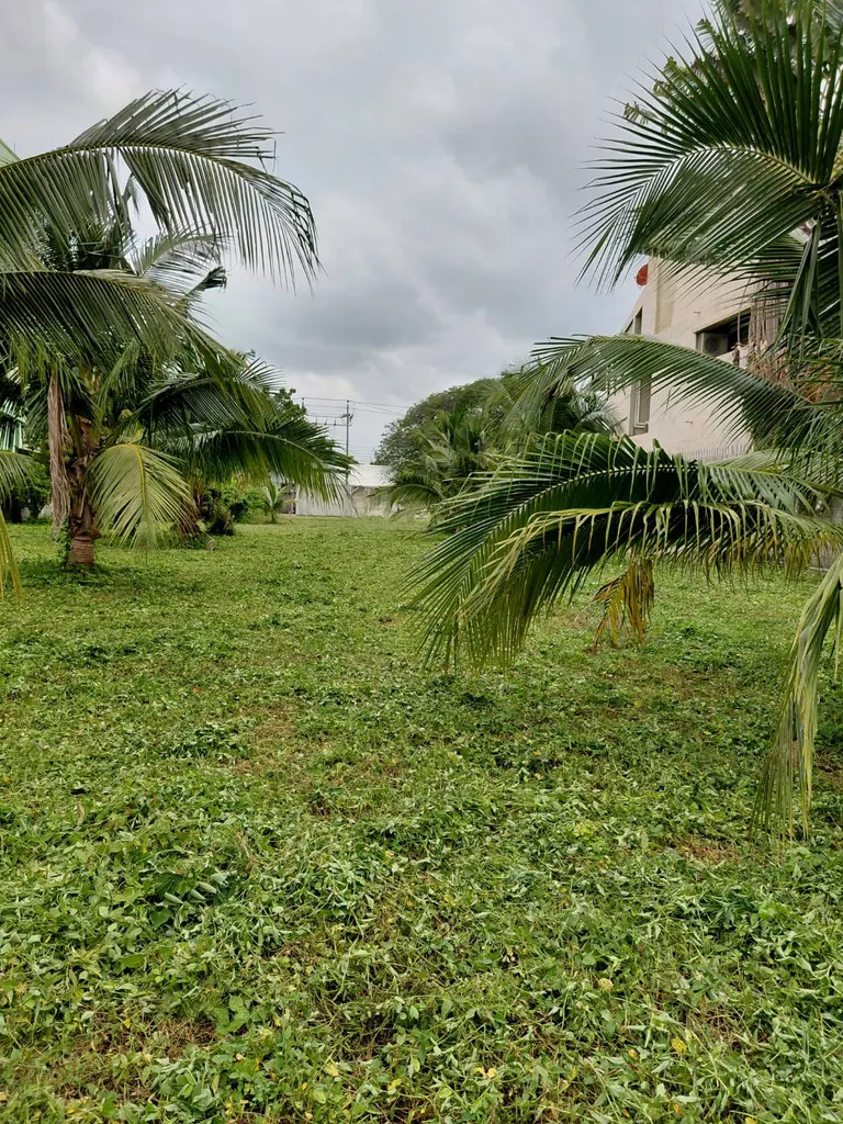 Photo 3 of listing DA-3195588: plot of land (1296 sq.m.)