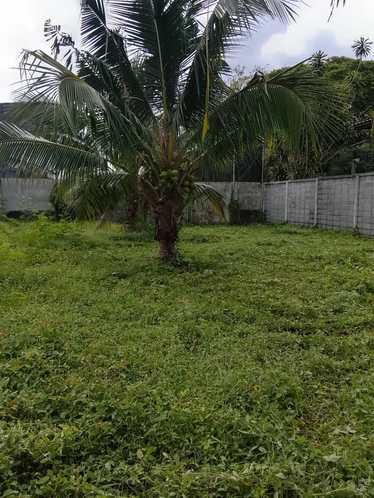 Photo 4 of listing DA-3195588: plot of land (1296 sq.m.)