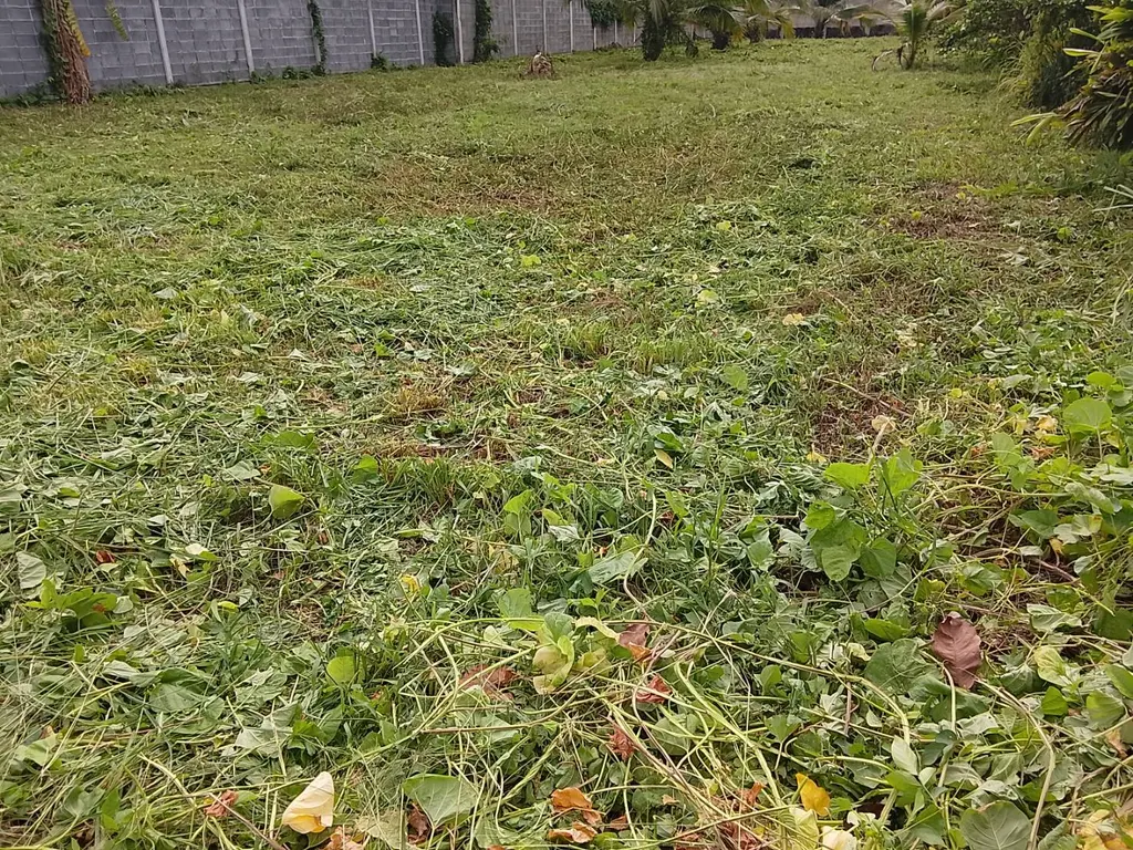 Photo 6 of listing DA-3195588: plot of land (1296 sq.m.)