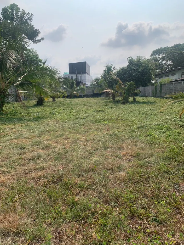 Photo 7 of listing DA-3195588: plot of land (1296 sq.m.)