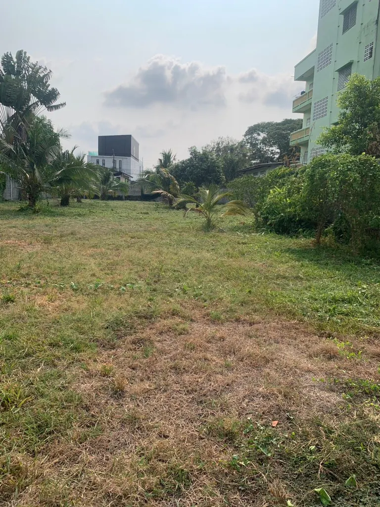 Photo 8 of listing DA-3195588: plot of land (1296 sq.m.)