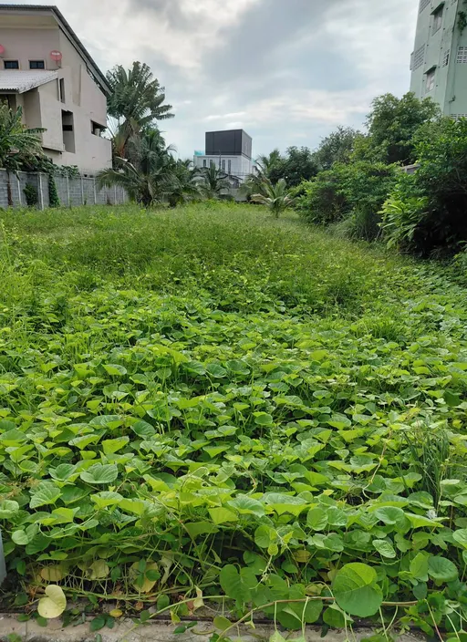 Photo 1 of listing DA-3195588: plot of land (1296 sq.m.)