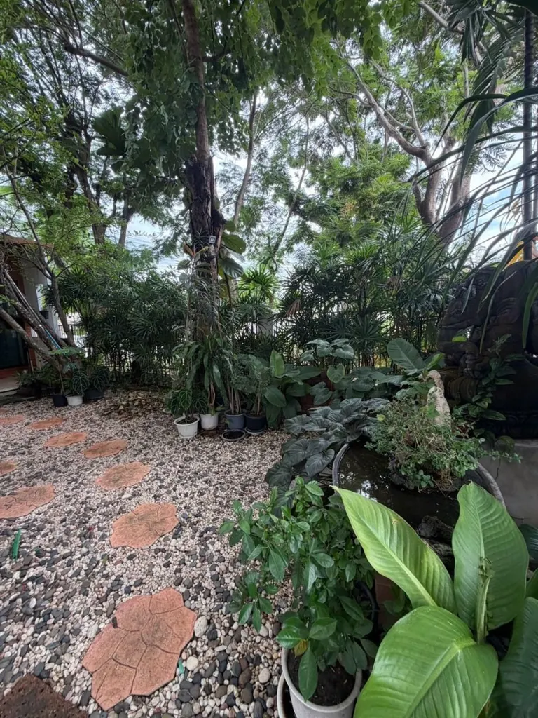ภาพที่ 34 จากประกาศ DA-3350041 บ้านเดี่ยว 4 ห้องนอน 230 ตร.ม. นันทวัน รามอินทรา-วัชรพล