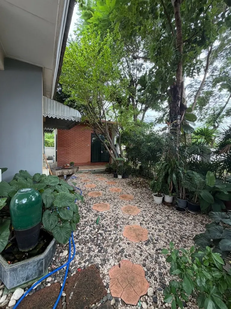ภาพที่ 35 จากประกาศ DA-3350041 บ้านเดี่ยว 4 ห้องนอน 230 ตร.ม. นันทวัน รามอินทรา-วัชรพล