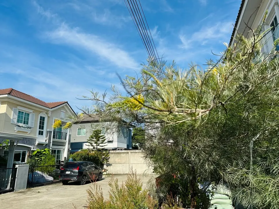 Photo 13 of listing DA-3384992: 3-bedroom house (151 sq.m.) at Golden Neo Bangna-Suan Luang